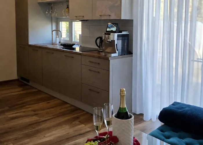 Διαμέρισμα Zolynu Namai *